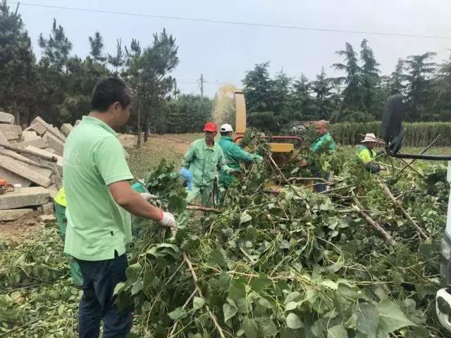 樹枝碎木機多功能可移動柴油機樹枝粉碎機
