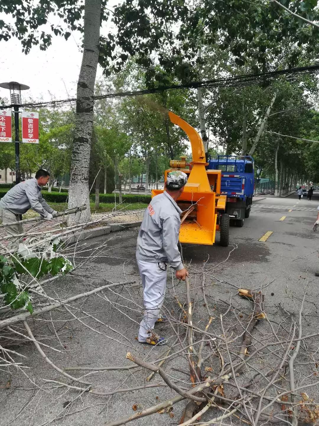 園林專用樹枝粉碎機(jī)進(jìn)校園