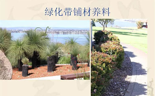 園林農(nóng)作物枝椏雜枝剁碎粉碎機