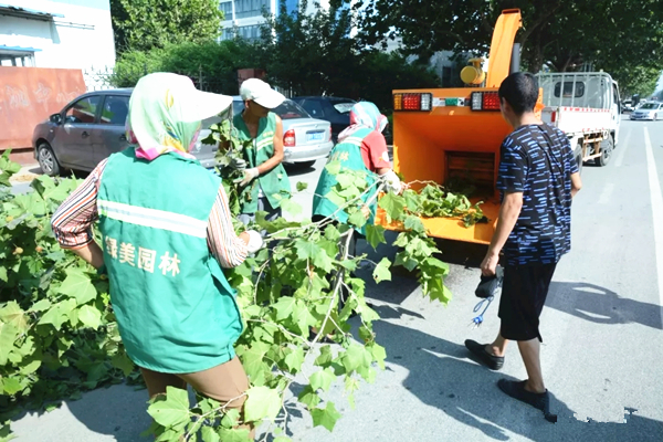 園林局綠化枝椏粉碎機(jī) 苗圃培育基地樹(shù)枝切碎機(jī)