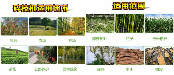 樹枝樹葉削片粉碎機 城市市政綠化碎枝機