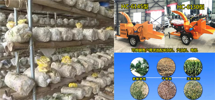 廢棄桃樹枝粉碎機制作蘑菇菌棒