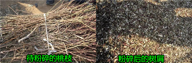 北京市平谷區(qū)廢棄桃樹枝粉碎機(jī)