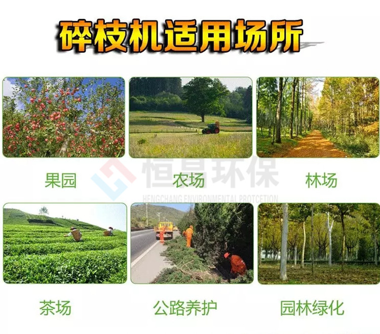 陜西扶風(fēng)自走式樹枝切削粉碎處理設(shè)備